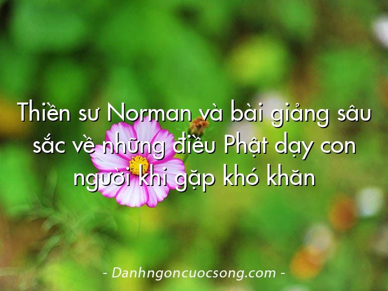 Thiền sư Norman và bài giảng sâu sắc về những điều Phật dạy con người khi gặp khó khăn
