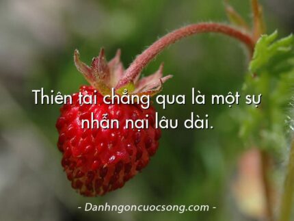 Thiên tài chẳng qua là một sự nhẫn nại lâu dài.