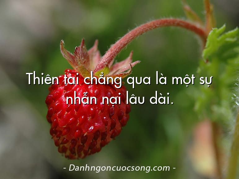 Thiên tài chẳng qua là một sự nhẫn nại lâu dài.