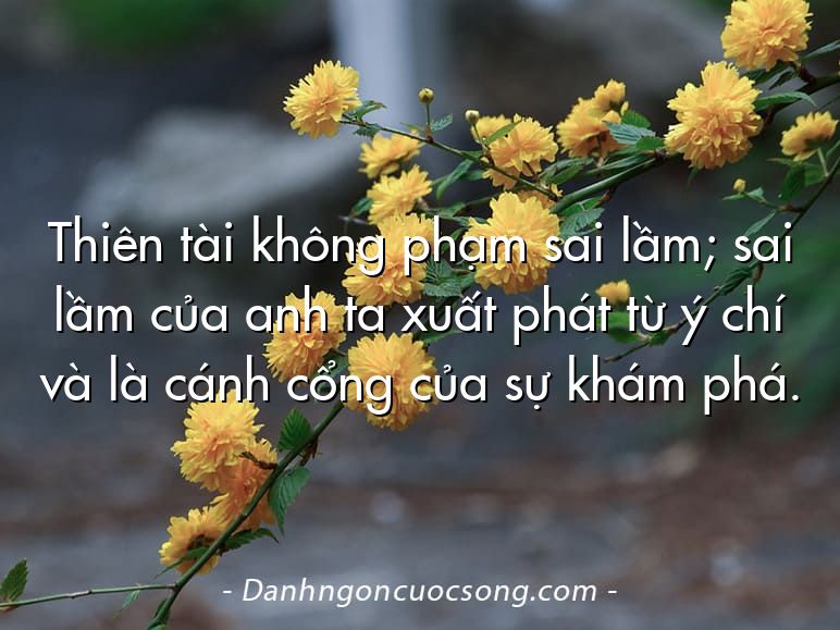 Thiên tài không phạm sai lầm; sai lầm của anh ta xuất phát từ ý chí và là cánh cổng của sự khám phá.