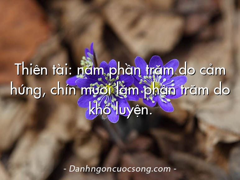 Thiên tài: năm phần trăm do cảm hứng, chín mươi lăm phần trăm do khổ luyện.