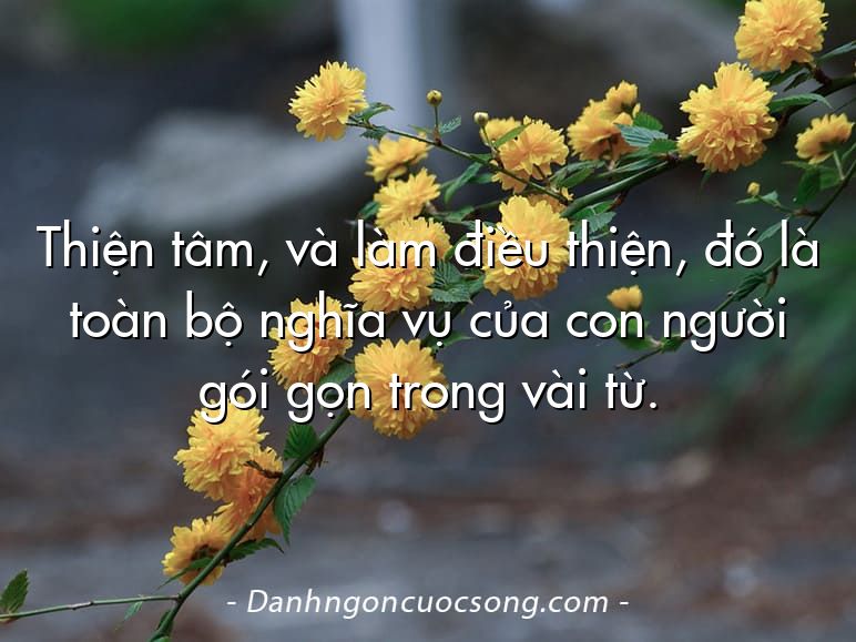 Thiện tâm, và làm điều thiện, đó là toàn bộ nghĩa vụ của con người gói gọn trong vài từ.