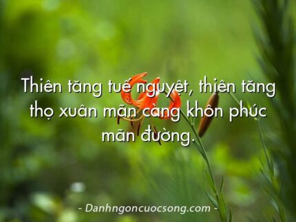 Thiên tăng tuế nguyệt, thiên tăng thọ xuân mãn càng khôn phúc mãn đường.