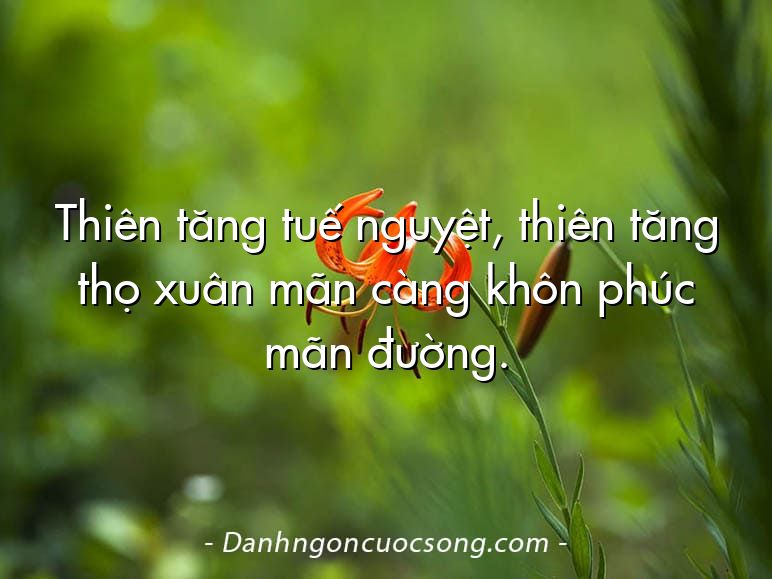 Thiên tăng tuế nguyệt, thiên tăng thọ xuân mãn càng khôn phúc mãn đường.