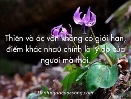 Thiện và ác vốn không có giới hạn, điểm khác nhau chính là lý do của ngươi mà thôi.