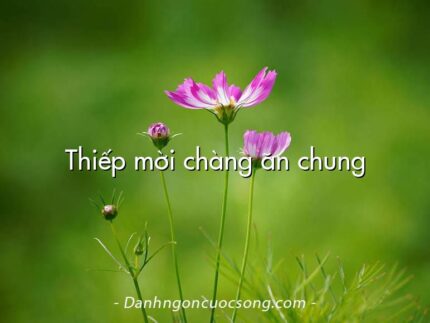 Thiếp mời chàng ăn chung