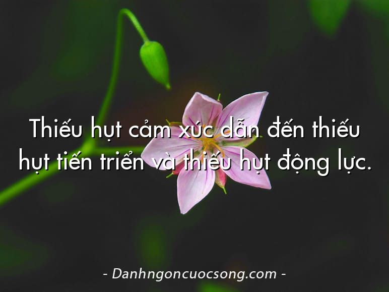 Thiếu hụt cảm xúc dẫn đến thiếu hụt tiến triển và thiếu hụt động lực.