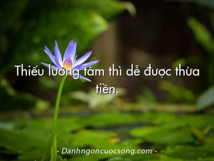 Thiếu lương tâm thì dễ được thừa tiền.