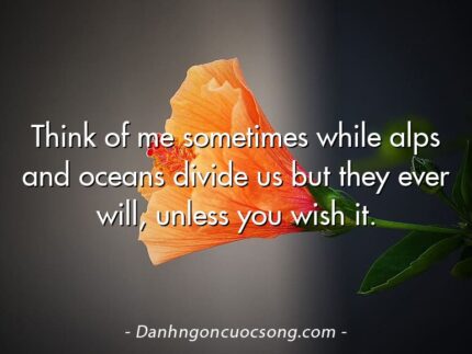 Think of me sometimes while alps and oceans divide us but they ever will, unless you wish it.