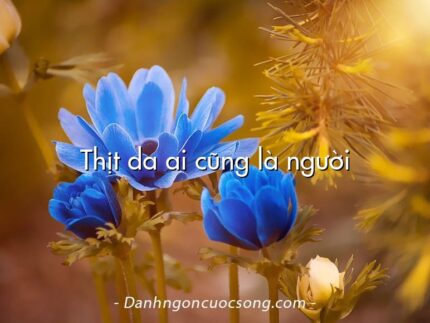 Thịt da ai cũng là người
