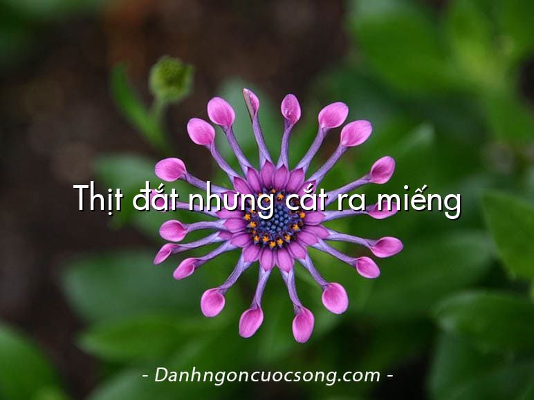 Thịt đắt nhưng cắt ra miếng