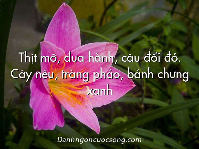 Thịt mỡ, dưa hành, câu đối đỏ. Cây nêu, tràng pháo, bánh chưng xanh