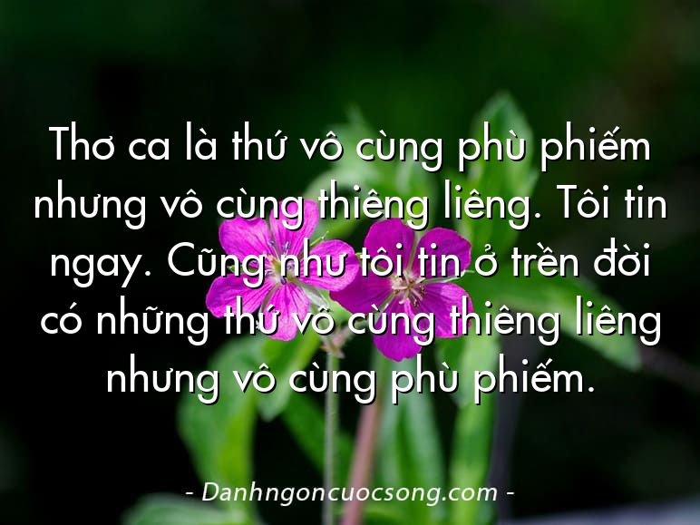 Thơ ca là thứ vô cùng phù phiếm nhưng vô cùng thiêng liêng. Tôi tin ngay. Cũng như tôi tin ở trền đời có những thứ vô cùng thiêng liêng nhưng vô cùng phù phiếm.