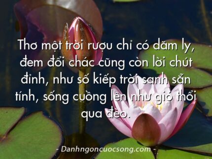 Thơ một trời rượu chỉ có dăm ly, đem đổi chác cũng còn lời chút đỉnh, như số kiếp trời sanh sẵn tính, sống cuồng lên như gió thổi qua đèo.