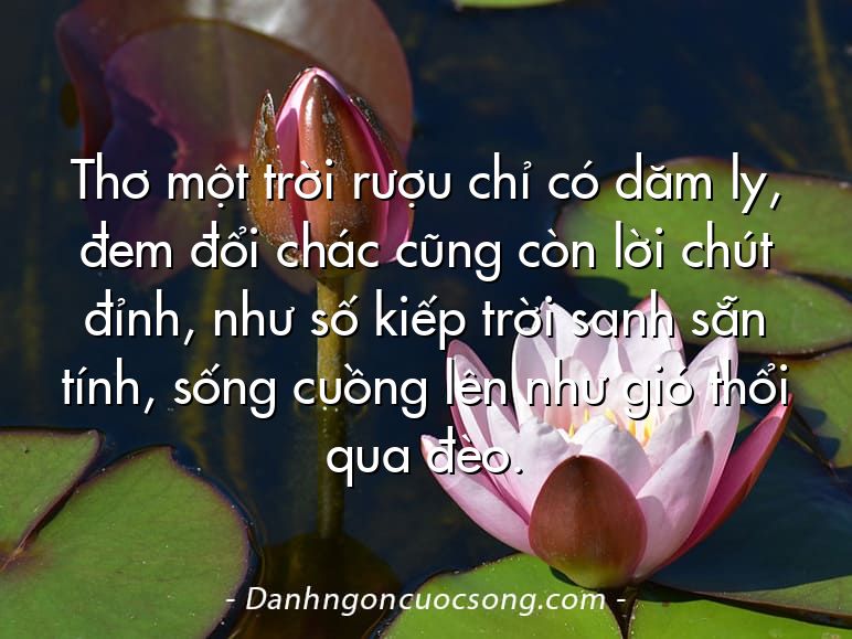 Thơ một trời rượu chỉ có dăm ly, đem đổi chác cũng còn lời chút đỉnh, như số kiếp trời sanh sẵn tính, sống cuồng lên như gió thổi qua đèo.