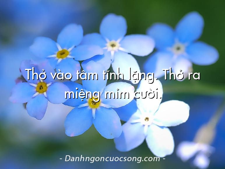 Thở vào tâm tĩnh lặng. Thở ra miệng mỉm cười.