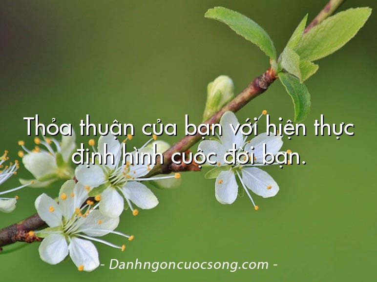 Thỏa thuận của bạn với hiện thực định hình cuộc đời bạn.