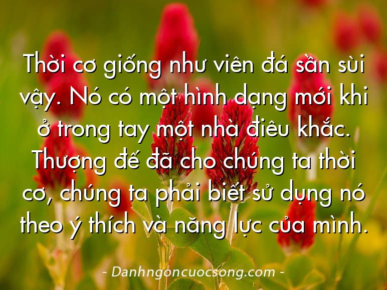 Thời cơ giống như viên đá sần sùi vậy. Nó có một hình dạng mới khi ở trong tay một nhà điêu khắc. Thượng đế đã cho chúng ta thời cơ, chúng ta phải biết sử dụng nó theo ý thích và năng lực của mình.