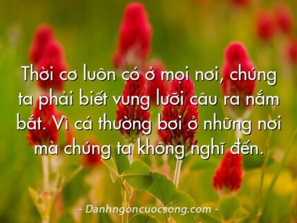 Thời cơ luôn có ở mọi nơi, chúng ta phải biết vung lưỡi câu ra nắm bắt. Vì cá thường bơi ở những nơi mà chúng ta không nghĩ đến.