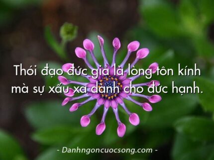 Thói đạo đức giả là lòng tôn kính mà sự xấu xa dành cho đức hạnh.