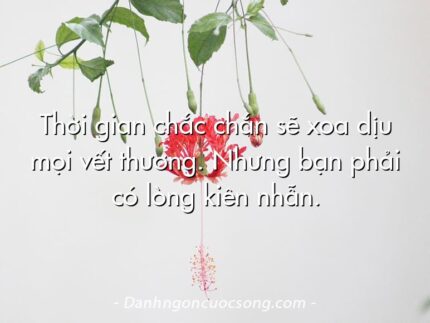 Thời gian chắc chắn sẽ xoa dịu mọi vết thương. Nhưng bạn phải có lòng kiên nhẫn.
