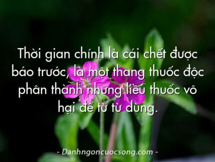 Thời gian chính là cái chết được báo trước, là một thang thuốc độc phân thành những liều thuốc vô hại để từ từ dùng.