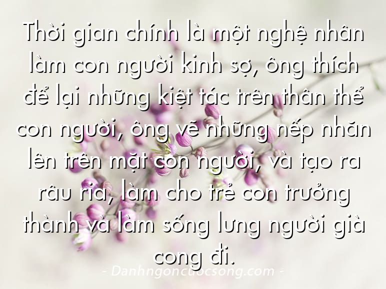 Thời gian chính là một nghệ nhân làm con người kinh sợ, ông thích để lại những kiệt tác trên thân thể con người, ông vẽ những nếp nhăn lên trên mặt con người, và tạo ra râu ria, làm cho trẻ con trưởng thành và làm sống lưng người già cong đi.