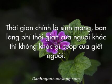 Thời gian chính là sinh mạng, bạn lãng phí thời gian của người khác thì không khác gì cướp của giết người.