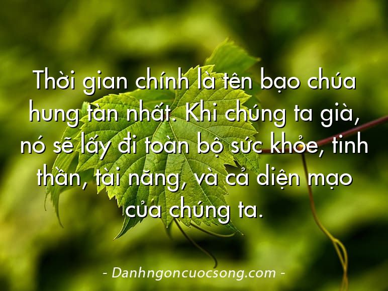 Thời gian chính là tên bạo chúa hung tàn nhất. Khi chúng ta già, nó sẽ lấy đi toàn bộ sức khỏe, tinh thần, tài năng, và cả diện mạo của chúng ta.