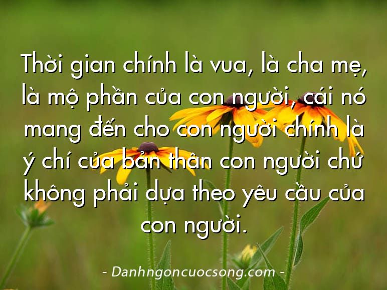 Thời gian chính là vua, là cha mẹ, là mộ phần của con người, cái nó mang đến cho con người chính là ý chí của bản thân con người chứ không phải dựa theo yêu cầu của con người.
