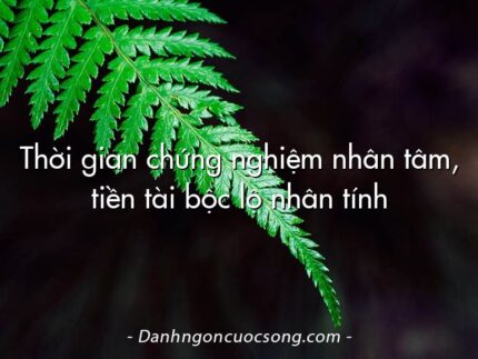 Thời gian chứng nghiệm nhân tâm, tiền tài bộc lộ nhân tính