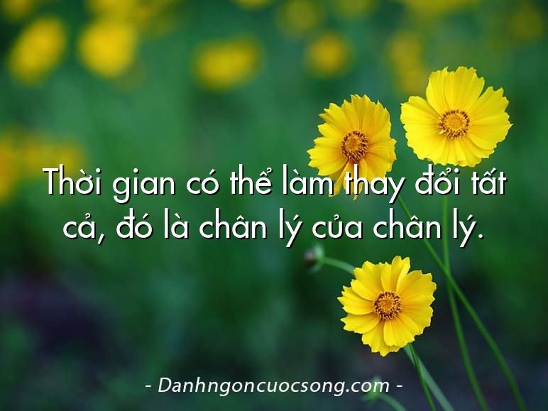 Thời gian có thể làm thay đổi tất cả, đó là chân lý của chân lý.