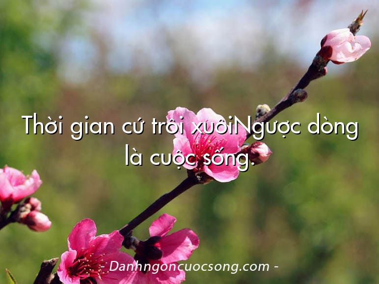 Thời gian cứ trôi xuôiNgược dòng là cuộc sống.