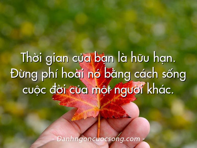 Thời gian của bạn là hữu hạn. Đừng phí hoài nó bằng cách sống cuộc đời của một người khác.