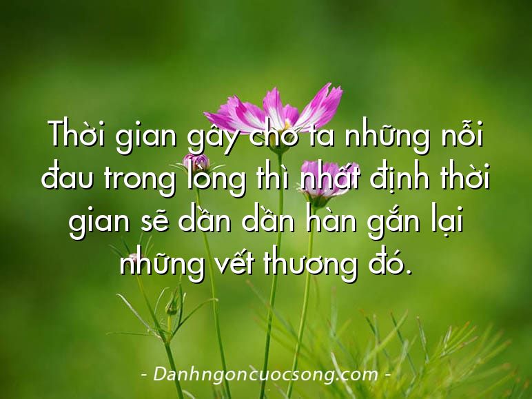 Thời gian gây cho ta những nỗi đau trong lòng thì nhất định thời gian sẽ dần dần hàn gắn lại những vết thương đó.