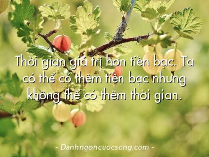 Thời gian giá trị hơn tiền bạc. Ta có thể có thêm tiền bạc nhưng không thể có thêm thời gian.