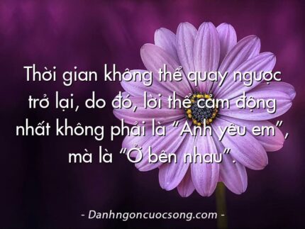 Thời gian không thể quay ngược trở lại, do đó, lời thể cảm động nhất không phải là “Anh yêu em”, mà là “Ở bên nhau”.