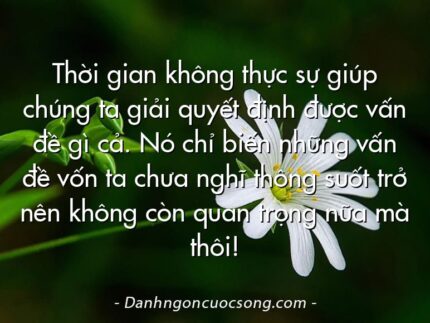 Thời gian không thực sự giúp chúng ta giải quyết định được vấn đề gì cả. Nó chỉ biến những vấn đề vốn ta chưa nghĩ thông suốt trở nên không còn quan trọng nữa mà thôi!