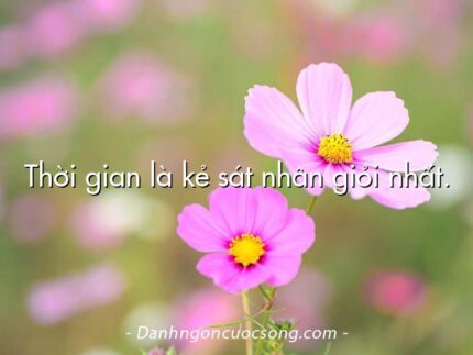 Thời gian là kẻ sát nhân giỏi nhất.