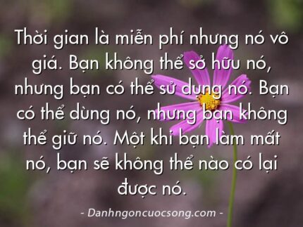 Thời gian là miễn phí nhưng nó vô giá. Bạn không thể sở hữu nó, nhưng bạn có thể sử dụng nó. Bạn có thể dùng nó, nhưng bạn không thể giữ nó. Một khi bạn làm mất nó, bạn sẽ không thể nào có lại được nó.
