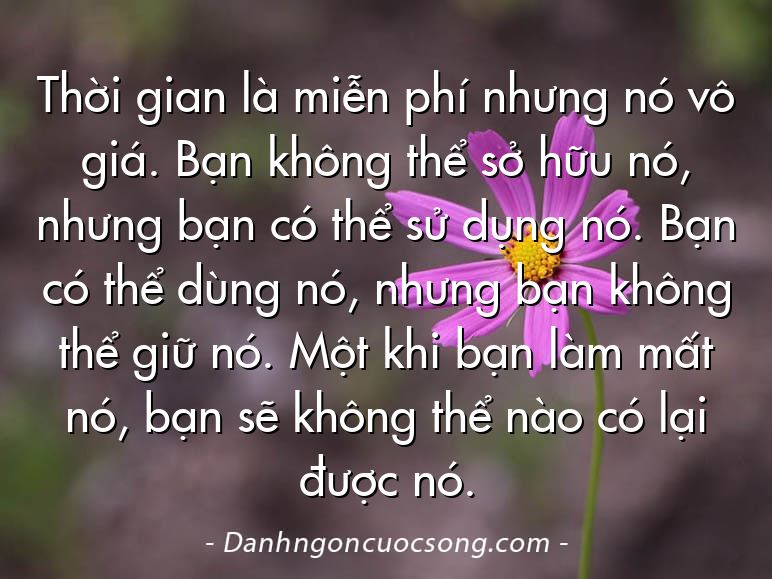 Thời gian là miễn phí nhưng nó vô giá. Bạn không thể sở hữu nó, nhưng bạn có thể sử dụng nó. Bạn có thể dùng nó, nhưng bạn không thể giữ nó. Một khi bạn làm mất nó, bạn sẽ không thể nào có lại được nó.
