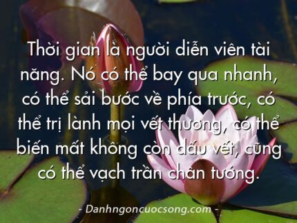 Thời gian là người diễn viên tài năng. Nó có thể bay qua nhanh, có thể sải bước về phía trước, có thể trị lành mọi vết thương, có thể biến mất không còn dấu vết, cũng có thể vạch trần chân tướng.