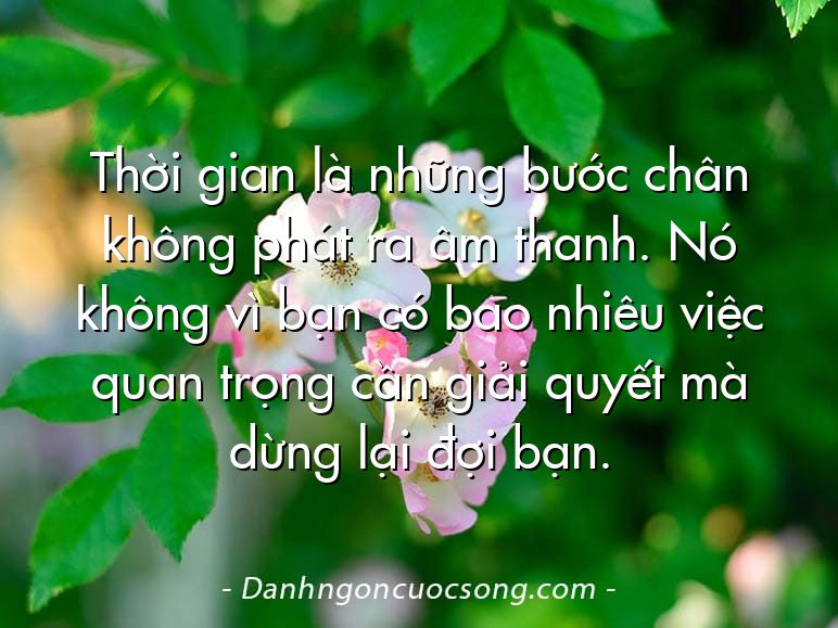 Thời gian là những bước chân không phát ra âm thanh. Nó không vì bạn có bao nhiêu việc quan trọng cần giải quyết mà dừng lại đợi bạn.