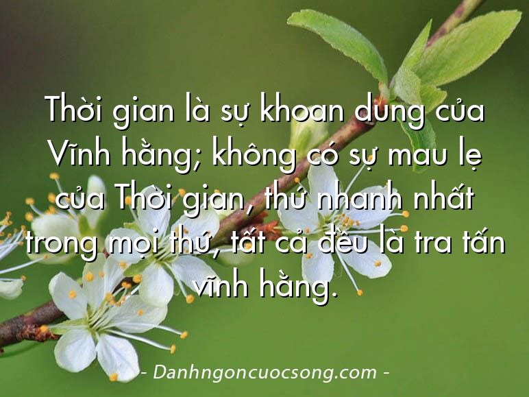 Thời gian là sự khoan dung của Vĩnh hằng; không có sự mau lẹ của Thời gian, thứ nhanh nhất trong mọi thứ, tất cả đều là tra tấn vĩnh hằng.