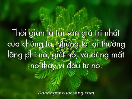 Thời gian là tài sản giá trị nhất của chúng ta, nhưng ta lại thường lãng phí nó, giết nó, và dùng mất nó thay vì đầu tư nó.