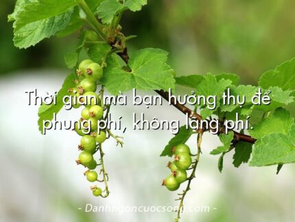 Thời gian mà bạn hưởng thụ để phung phí, không lãng phí.