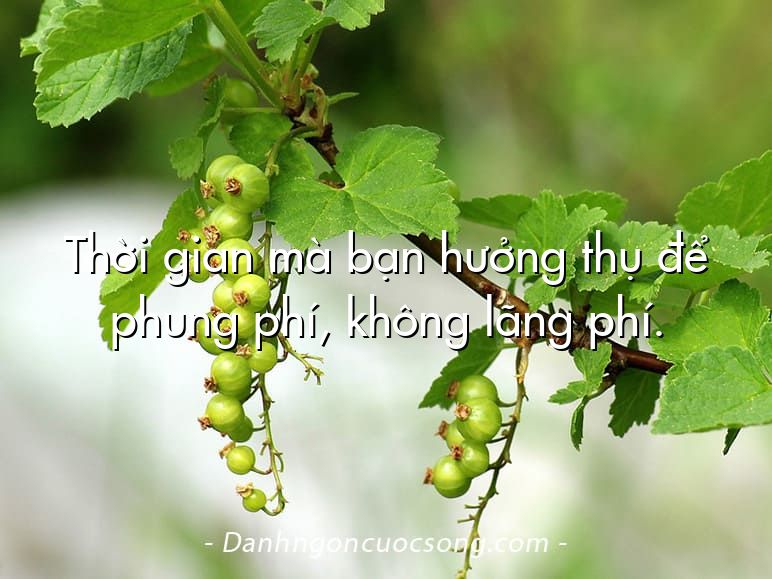 Thời gian mà bạn hưởng thụ để phung phí, không lãng phí.