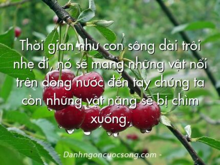 Thời gian như con sông dài trôi nhẹ đi, nó sẽ mang những vật nổi trên dòng nước đến tay chúng ta còn những vật nặng sẽ bị chìm xuống.