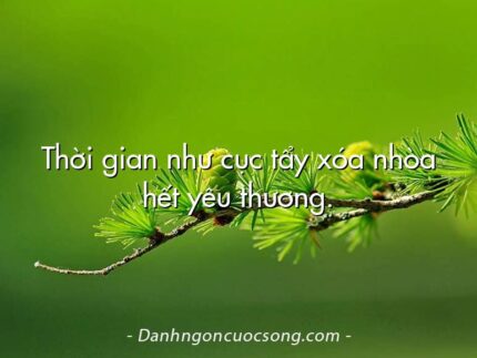 Thời gian như cục tẩy xóa nhòa hết yêu thương.