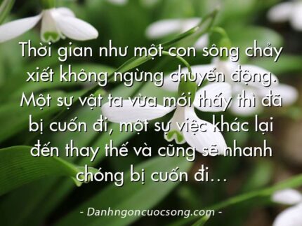 Thời gian như một con sông chảy xiết không ngừng chuyển động. Một sự vật ta vừa mới thấy thì đã bị cuốn đi, một sự việc khác lại đến thay thế và cũng sẽ nhanh chóng bị cuốn đi…